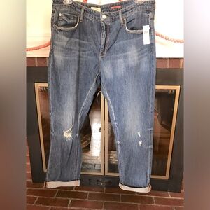 Pilcro Anthropologie Boyfriend Distressed Jean Size 32
